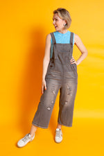 Load image into Gallery viewer, The Vintage Overalls
